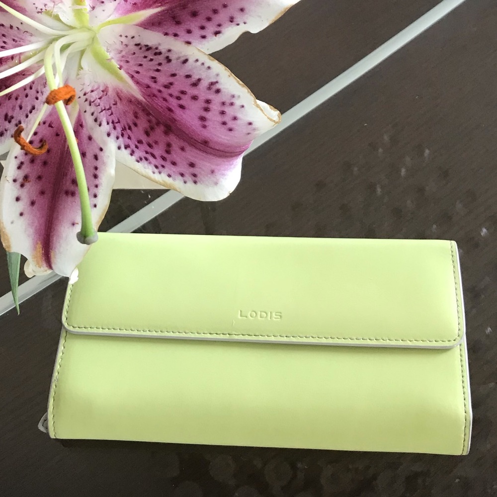 Pretty Lodis Audrey checkbook wallet.